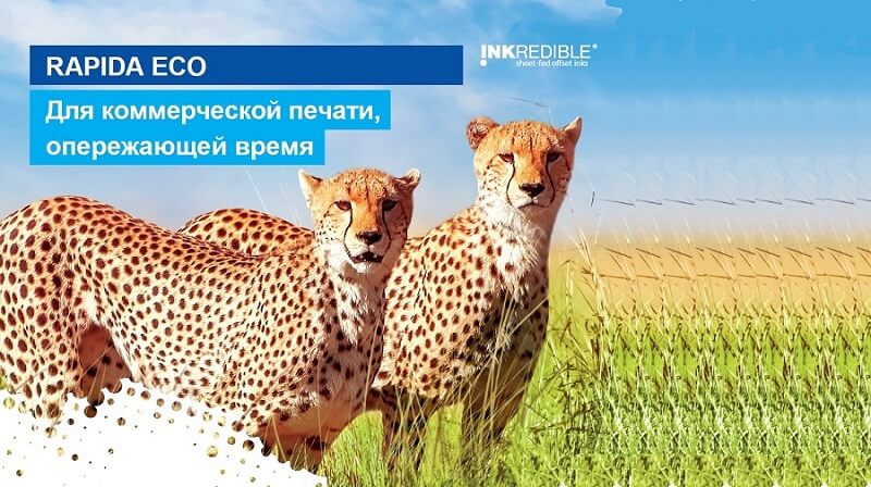 RAPIDA® ECO — как всегда превосходная, но теперь более экологичная!<