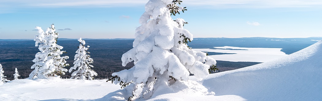 Супер интенсивная белая