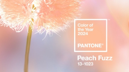 Выбран главный цвет PANTONE® наступающего года<