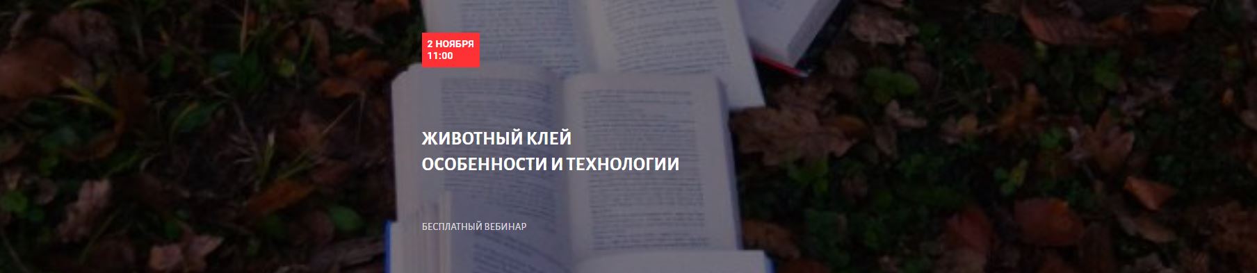 Бесплатный вебинар в Школе Современного Полиграфиста